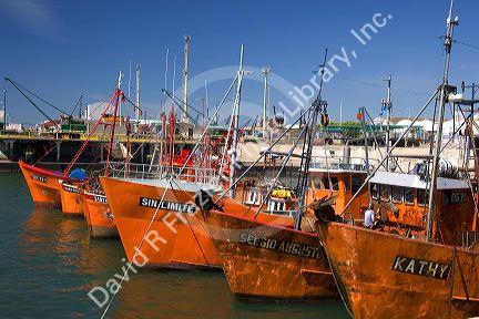 Fishing boats at Puerto Faro, Mar del Plata, Argentina.