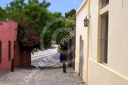 Narrow stone street in Colonia, Uraguay.