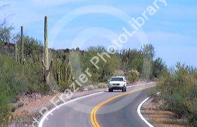 Desert drive through Organ Pipe National Monument in Arizona with cactus and assorted brush along the road.