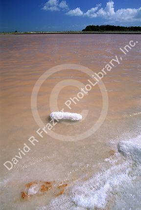 A salt pond in Puerto Rico.
