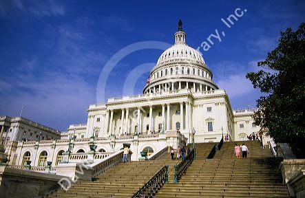 The United States capitol building in Washington, D.C.