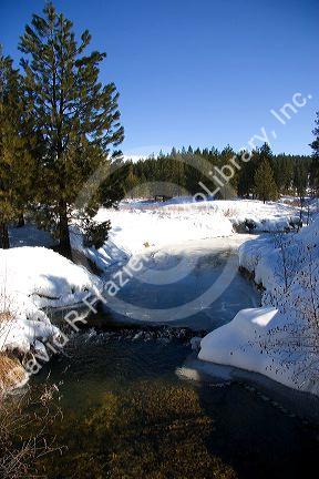 Winter scene along Mores Creek in Boise County Idaho.