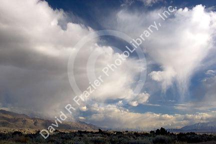 Snow squall in the Owens Valley, California.