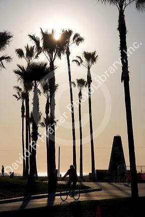 Palm trees and bicyclists at Venice Beach in Los Angeles, California.