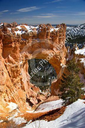 Natural Bridge in Bryce Canyon National Park, Utah.