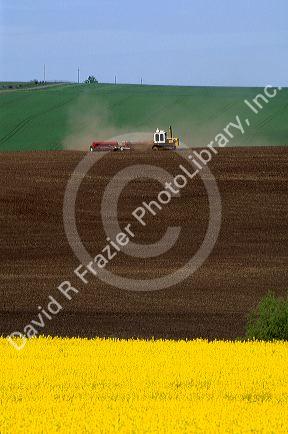 Planting a rape seed crop near Grangeville, Idaho.