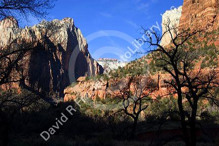 Zion National Park, Utah.