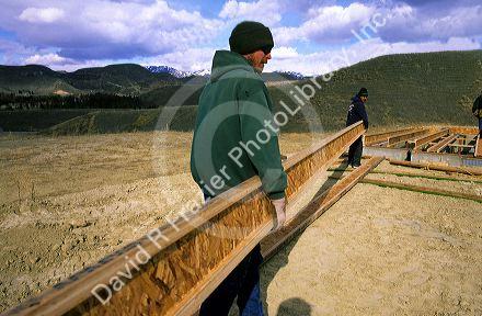 Construction worker showing the proper way to carry an I-Joist, Boise, Idaho.