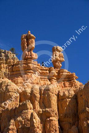 Sandstone rock formation in the Red Canyon of the Dixie National Forest near Bryce Cayon National Park, Utah.