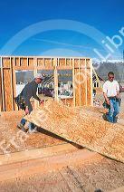 Carpenters using engineered wood panels in Boise,