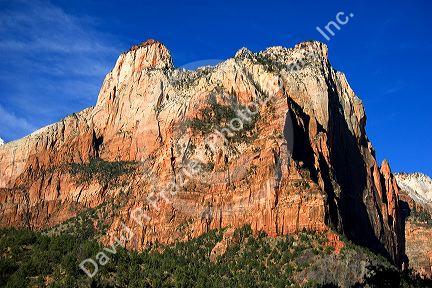 Zion National Park, Utah.