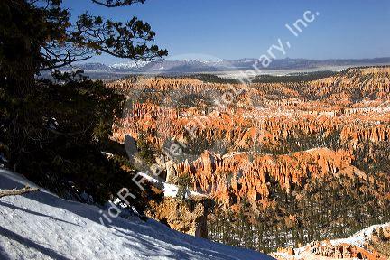 Bryce Canyon National Park, Utah.