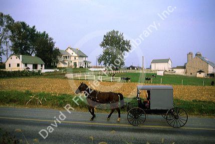 Horse drawn Amish buggy in Lancaster County, Pennsylvania.