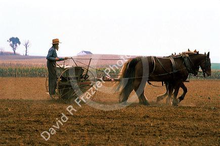 Amish farmer using a horse drawn seed planter in Lancaster County, Pennsylvania.