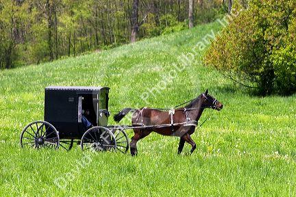 Amish horse and buggy near Berlin, Ohio.