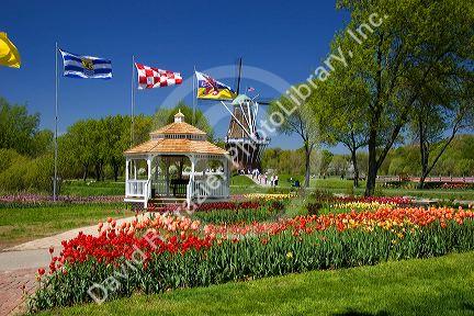 Windmill Island park with tulips in bloom at Holland, Michigan.