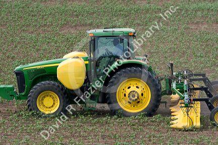 JJohn Deere tractor spraying a crop of cotton.