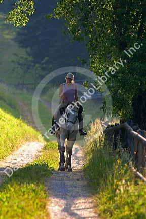 Rider on horseback near Zurich, Switzerland.