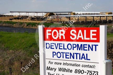 A dairy farm being sold for housing development in Canyon County, Idaho.