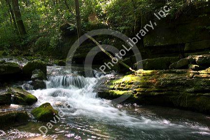 Stream flowing out of Blanchard Cavern in the Ouachita National Forest of Arkansas.