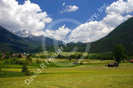 A tractor harvesting a hay field on a farm at Imst, Austria.