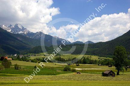 A tractor harvesting a hay field on a farm at Imst, Austria.