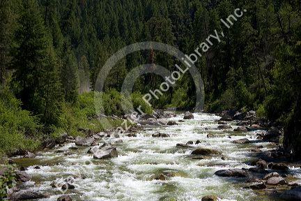 The East Fork of the South Fork of the Salmon River near Yellowpine, Idaho.