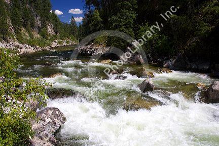 The East Fork of the South Fork of the Salmon River near Yellowpine, Idaho.