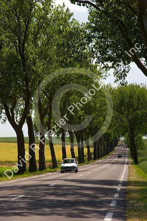 Tree lined highway near Luneville, France.