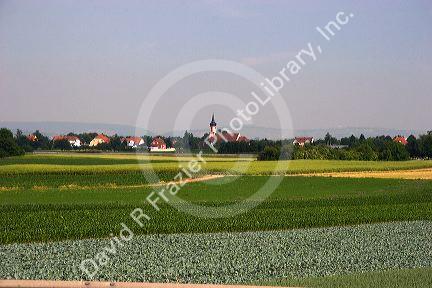 Agriculture near Strasbourg, Eastern France.