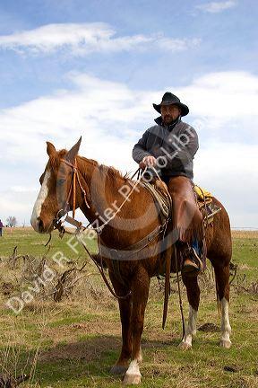 A cowboy on horseback in Idaho.