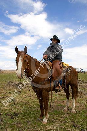 A cowboy on horseback in Idaho.