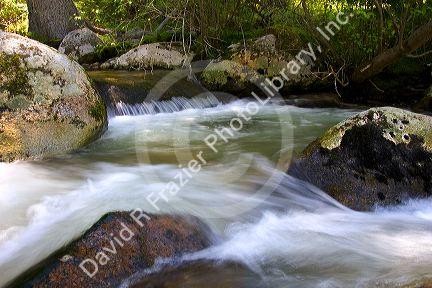 Small tributary stream along the South Fork of the Salmon River near Yellow Pine, Idaho.