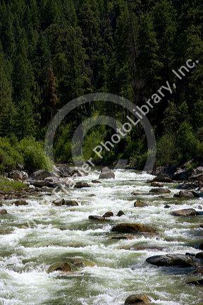 The East Fork of the South Fork of the Salmon River near Yellow Pine, Idaho.