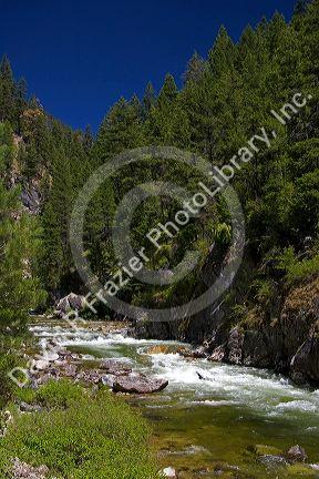 The East Fork of the South Fork of the Salmon River near Yellow Pine, Idaho.