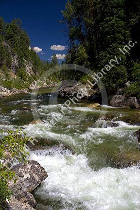 The East Fork of the South Fork of the Salmon River near Yellow Pine, Idaho.
