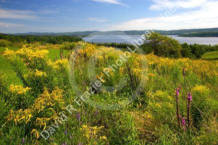 St. John River near the town of St. John, New Brunswick, Canada.