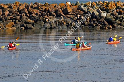 People sea kayaking in the Bay of Fundy at St. Martins, New Brunswick, Canada.