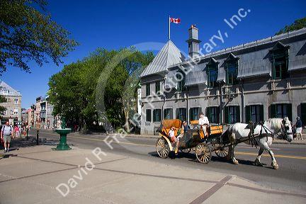 Horse and carriage at Quebec City, Quebec, Canada.