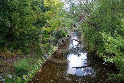 Upper Cedar Creek at Columbia, Missouri.
