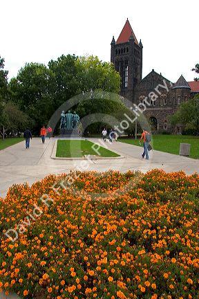 University of Illinois campus at Champaign.