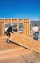 Carpenters using engineered wood panels in Boise,