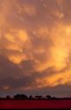 Storm clouds at sunset over southwest Idaho.  Mammarian clouds are laden with moisture.