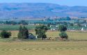 Alfalfa hay field ready for baling in Canyon County, Idaho.