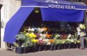 A flower stand in Paris, France.