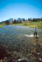 Fly fishing Valley Creek in the Idaho Sawtooth National Forest near Stanley, Idaho.