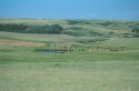 Livestock watering hole on a North Dakota prairie.