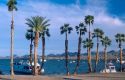Boats and palm trees at Lake Havasu, Arizona.