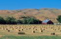 Baled hay on Ranch north of Boise, Idaho.