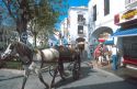 Horse and Carriage in Nerja, Spain.